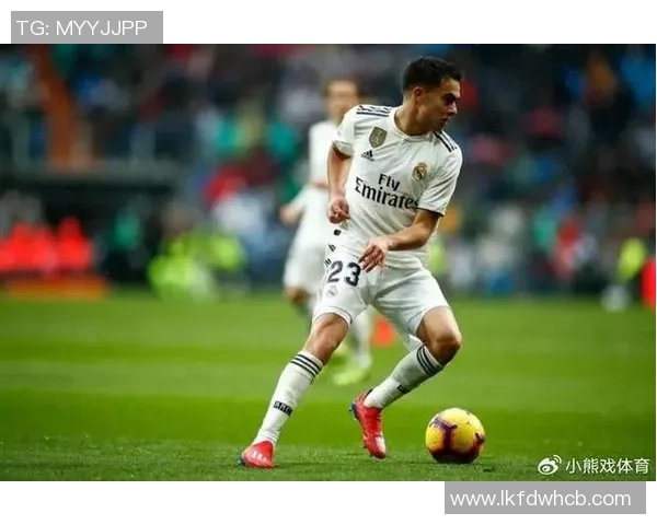 皇马官宣新援达尔米安诺，球迷期待关键战役中的表现